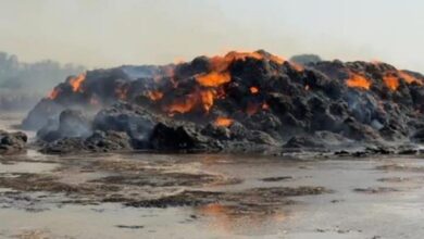 Photo of करनाल में किसान के गन्ने की पाती का स्टॉक जलकर राख, 35 लाख का भारी नुकसान