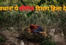 Photo of 6 एपिसोड और रूह कंपाने वाला रोमांच; Netflix पर आई सीरीज ने काटा गदर