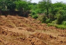 Photo of सेंट्रल रिज के 673 हेक्टेयर को मिला आरक्षित वन का दर्जा
