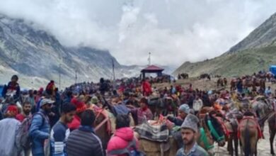 Photo of चारधाम यात्रा: घोड़ा-खच्चरों के संचालन के लिए नई SOP, पीटने और तेज दौड़ाने पर रोक