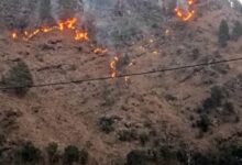 Photo of Uttarakhand: घर की ओर बढ़ रही जंगल की आग को रोकने गई महिला, बुरी तरह झुलसने से मौत